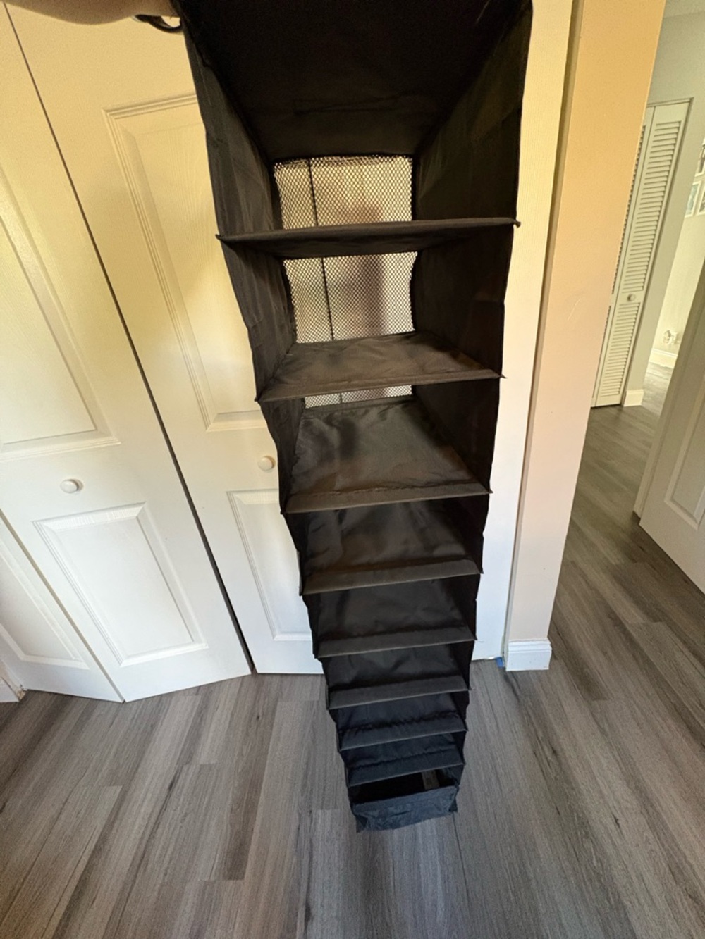 Black Hanging Closet Organizer Shelf Unit